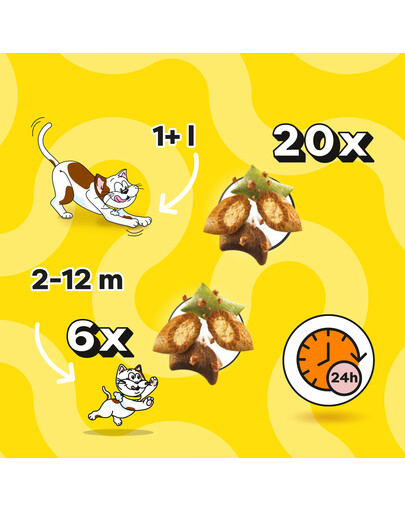 DREAMIES Shake Ups Multivitamins Chrupiące przysmaki dla kota Smaki z paki 55 g